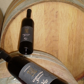 vini-barriques-2